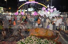 Ciudad Chi Minh estimula aportes de vietnamitas en el extranjero