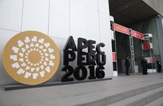 Vietnam desempeña importante rol en marco de APEC