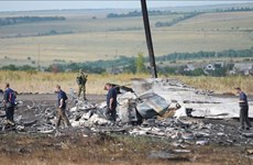Responsables de tragedia del vuelo MH17 serán identificados en 2018
