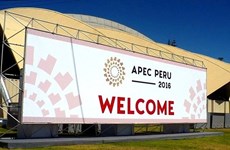 Vicepremier vietnamita interviene en la conferencia ministerial de APEC en Perú