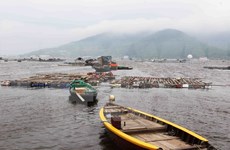 Da Nang se empeña en convertirse en mayor centro de pesca de Vietnam