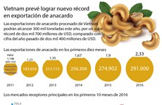 [Infografia] Vietnam prevé lograr nuevo récord en exportación de anacardo