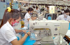 Productos de Vietnam se benefician de TLC con Unión Económica Euroasiática