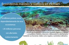 [Infografia] Ecosistemas marinos y costeros en Vietnam