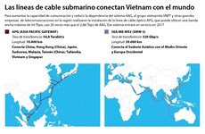 [Infografia] Cables submarinos que conectan Vietnam con el mundo