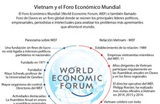 [Infografia] Vietnam y el Foro Económico Mundial