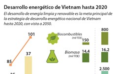 [Infografía] Desarrollo energético de Vietnam hasta 2020