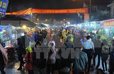 Alud de visitantes al mercado Vieng en primeros días del Año Nuevo Lunar
