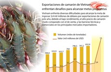 [Infografía] Enfrentan desafíos exportaciones de camarón de Vietnam