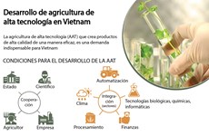 [Infografia] Desarrollo de agricultura de alta tecnología en Vietnam