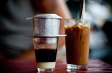 Sector cafetero vietnamita busca crecerse ante dificultades