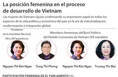 [Infografia] La posición femenina en el desarrollo de Vietnam