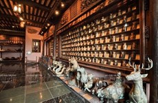 Museo de medicina tradicional FITO, destino atractivo de Ciudad Ho Chi Minh