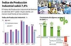 [Infografía] Índice de Producción Industrial subió 7,4%