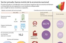 [Infografia] Sector privado, fuerza motriz de la economía nacional 