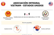 [Infografía] Asociación Integral Vietnam - Estados Unidos