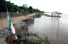 Delta del Mekong encara alto riesgo de erosión 