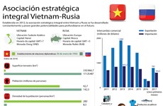 [Infografia] Relaciones Vietnam-Rusia