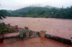 [Fotos] Inundaciones causan grandes pérdidas en Vietnam