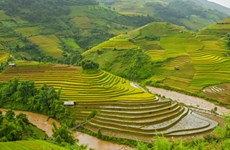 Seleccionan a Vietnam entre los 20 países más hermosos del mundo