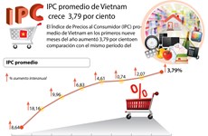 [Infografía] IPC promedio de Vietnam crece 3,79 por ciento
