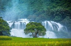 Cascada de Ban Gioc - obra maestra natural en el Sudeste Asiático