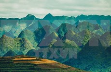 Paisajes majestuosos de zona montañosa de Ha Giang