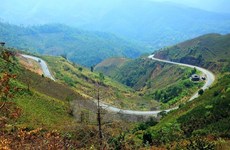 Desfiladero Pha Din, atractivo sitio en la región del noroese de Vietnam