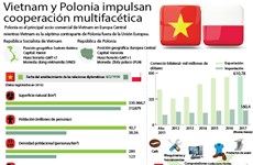 Vietnam y Polonia impulsan  cooperación multifacética