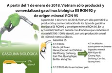 [Infografía] Vietnam sólo producirá y comercializará las gasolinas E5 RON92 y Ron 95