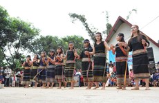 Ceremonia de arroz del grupo étnico de Xe Dang en Dak Lak