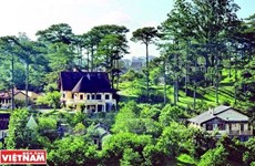 [Fotos] Impresionantes villas de estilo francés en bosque de pinos en Da Lat