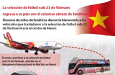 La selección de fútbol sub-23 de Vietnam  regresa a su país con el caluroso abrazo de fanáticos