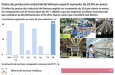 [Infografia] Índice de producción industrial de Vietnam reportó aumento de 20,9% en enero