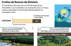 Ocho sitios de Ramsar de Vietnam