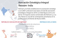 [Infografía] Asociación Estratégica Integral Vietnam- India
