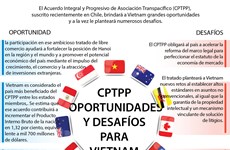 [Infografía] CPTPP: Oportunidades y desafíos para Vietnam