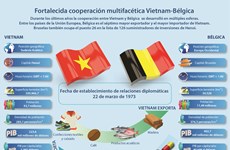 [Infografía] Relaciones Vietnam-Bélgica 