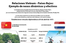 Relaciones Vietnam-Países Bajos: Ejemplo de nexos dinámicos y efectivos 