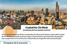 [Infografía] Ciudad Ho Chi Minh - locomotora de la economía nacional