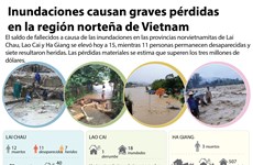 [Infografía] Inundaciones causan graves pérdidas en la región norteña de Vietnam