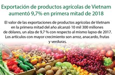 [Info] Exportación de productos agrícolas de Vietnam aumentó 9,7% en primera mitad de 2018