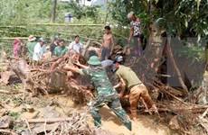 [Megastory] Vietnam sufre de severos impactos del cambio climático 