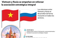 [Info] Vietnam y Rusia trabajan para fortalecer la asociación estratégica integral 
