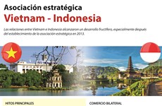 [Infografía] Asociación estratégica Vietnam - Indonesia