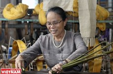 (Video) Mujer vietnamita se dedica al tejido a partir de “seda de loto”