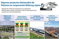 [Infografía] Algunos proyectos destacados de Vietnam en cooperación Mekong-Japón