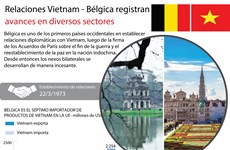 [Info] Relaciones Vietnam - Bélgica registran avances en diversos sectores
