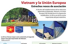 [Infografía] Estrechos nexos entre Vietnam y la Unión Europea 