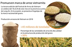 [Infografia] Promueven marca de arroz vietnamita 